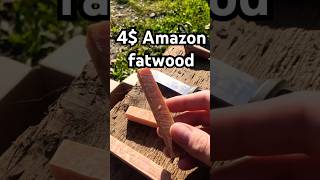 amazon fatwood vs handpicked fatwood viralvideo outdoorsurvival homemade bushcraft [upl. by Francisca]