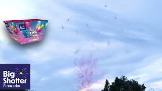 Big Shotter Fireworks  Gender Reveal Pink smoke 25 Shot Fireworks 2024 [upl. by Annekcm647]