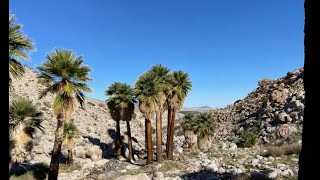 Checking out campsites in Anza Borrego desert Beginner offroad trails ep 15 [upl. by Alehs]