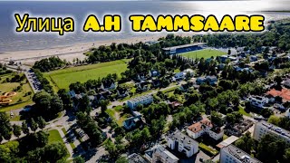 Прогулка по улице AHTAMMSAAREPärnuEstonia 08092024🇪🇪 [upl. by Ayotan]