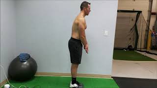 Multi Segmental Flexion Assessment [upl. by Wheelwright986]