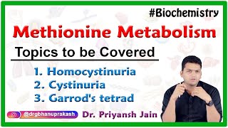 Methionine Metabolism  Homocystinuria Cystinuria Garrods tetrad  Medical Biochemistry [upl. by Llekcor]