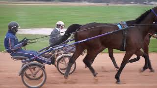 En direct du centre dentraînement de trotteurs de Grosbois [upl. by Holtz]