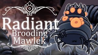 Brooding Mawlek  Radiant Hitless  Hollow Knight [upl. by Wiburg]