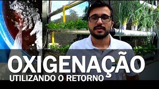 Oxigenação da água 3  Hidroponia [upl. by Samalla]