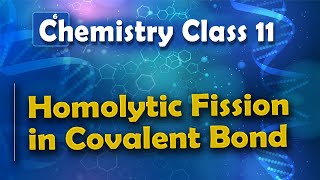 Homolytic Fission in Covalent Bond  Basic Principle and Techniques in Organic Chemistry  Chemistry [upl. by Neala]