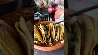 Los tacos bañados de Guadalajara [upl. by Eerolam]