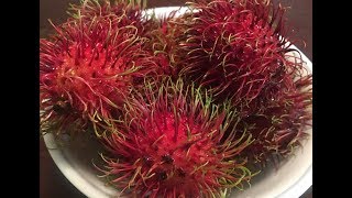 How to eat and cut open Rambutan fruit [upl. by Elaweda927]