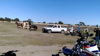 Arrancones caballo vs motos vs camioneta [upl. by Elonore]