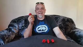 MUST WATCH Me vs Carolina Reaper from Ultibro Farms 100 Pure EVIL [upl. by Verras]