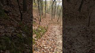 Hiking the Hilltop Trail 🥾 Sawnee Mountain 🍂 [upl. by Walden]