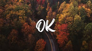 OK  Lyrics [upl. by Madlen]