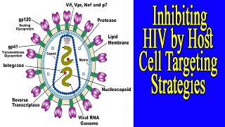 Inhibiting HIV by Host Cell Targeting Strategies [upl. by Zohara]