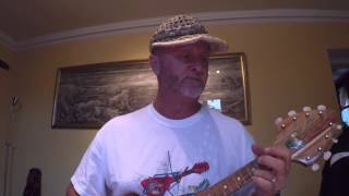 Bringue tahitienne  Mr Gravier Une fille Elle descend Chevaliers Ukulele Mich [upl. by Davon247]