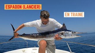 ESPADON LANCIER en TRAINE amp THON sur CHASSES [upl. by An]