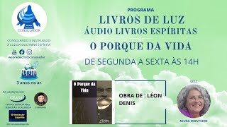 ÁUDIO LIVROS ESPÍRITAS –LIVRO O PORQUE DA VIDA CARTAS 56 [upl. by Ivgnout196]