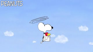 Snoopy Gives Woodstock a Helicopter Ride  Peanuts Charlie Brown Webseries  Review [upl. by Eenalem]