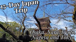 Day 13 of 15Day Japan Trip Osaka Nara Kyoto Nagoya amp Tokyo  Part 3 [upl. by Notgnirra]