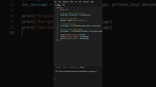 encryption and decryption in python  rsa encryption using python python encryption [upl. by Darom]