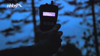 Bat detecting with the Elekon Batlogger M [upl. by Rickert]