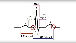 How to Remember Potassium EKG Changes in Seconds shorts [upl. by Hazem]