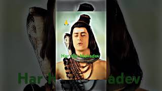 shiv shiva motivation bholenath viralvideo shorts viralshorts [upl. by Carley763]