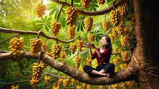 Harvesting Langsat Fruit amp Goes To Market Sell  Gardening And Cooking  Lý Tiểu Vân [upl. by Eelatsyrc]