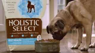 Holistic Select Natural Pet Food Television Commercial [upl. by Yldarb548]