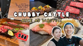 Chubby Cattle First Impressions Wait Times amp MUST TRY Dishes [upl. by Zobe]