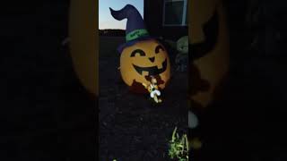 Nobbel 12  Jackolantern Decoration halloween bobblehead spooky music [upl. by Benjy]