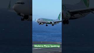 Transavia Landing at Madeira Airport [upl. by Zarger117]