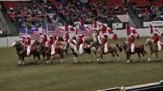 Equine Affaire 2013 Fantasia  Canadian Cowgirls [upl. by Ydissak362]