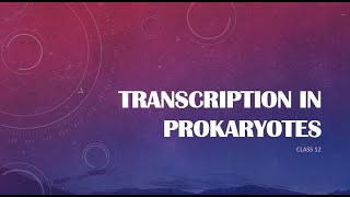 Transcription in Prokaryotes  Biology in Tamil [upl. by Aryk82]