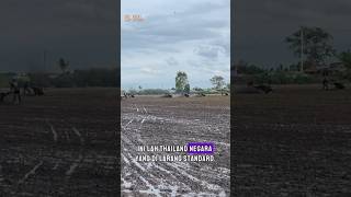 Balap traktor pembajak sawah Thailand [upl. by Gregrory]