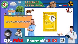 🐶 SULFACLOROPIRAZINA Farmaco Veterinario a cosa serve   Foglietto Illustrativo 👔 Dr MAX [upl. by Merrielle]