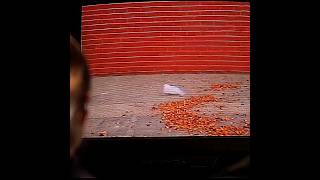 American Beauty  Bag Sacene EDIT americanbeauty kevinspacey wesbentley sammendes [upl. by Coco]