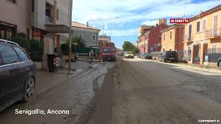 LIVE Alluvione nelle Marche danni a Senigallia diretta video [upl. by Torre144]