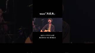 wacci 『大丈夫』 Live ver Shorts [upl. by Knox172]