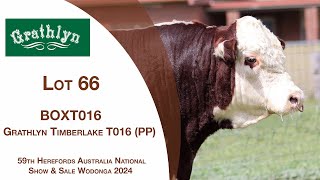 Lot 66 Grathlyn Timberlake T016 PP [upl. by Akinar88]