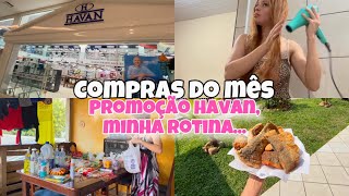 COMPRAS DO MÊS APROVEITAMOS A PROMOÇÃO DA HAVAN MINHA ROTINA [upl. by Cline844]