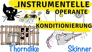 Instrumentelle amp operante Konditionierung  Skinner Thorndike und der Behaviorismus [upl. by Aifos]