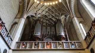 A Mighty Fortress played on pipe organ at historic Castle Church Wittenberg [upl. by Marlen]