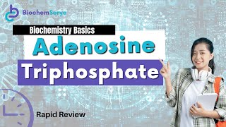 Adenosine Triphosphate ATP Rapid Review [upl. by Magdalena]