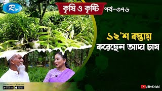 দিন দিন জনপ্রিয় হচ্ছে বস্তায় আদা চাষ  Ginger Cultivation  Krishi O Kristi  Rtv Lifestyle [upl. by Juliane]