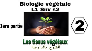 شرح بالدارجة لملخص درس الاول فيBiologie végétale S2 L1 Snv Les tissus végétaux 1ére chapitresبيولوجي [upl. by Vanni184]