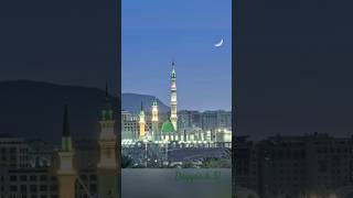 labbaik ya RASOOL ALLAH [upl. by Eberta86]