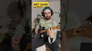 Short Cover quotWET SANDquot by RedHotChiliPeppers my favourite 🥰 [upl. by Hoashis]