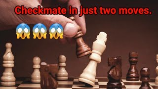 How To Checkmate In 2 Moves [upl. by Cock]