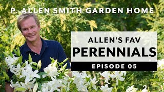 Perennials  FAQ Garden Home VLOG 2019 4K [upl. by Aloisia]