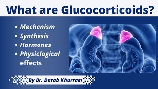 Adrenal Steroids  Glucocorticoids  Pharmacology [upl. by Mord702]